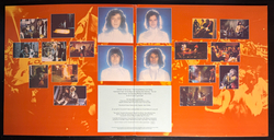 Виниловая пластинка Slade - Slade In Flame LP