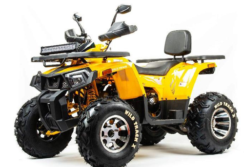 Квадроцикл MOTOLAND (МОТОЛЕНД) 200 WILD TRACK X PRO (баланс. вал)