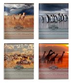 Тетрадь 96л, А5, клетка, Schoolformat Животные, ВД-лак, ассорти, 1шт.