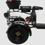Электроскутер CityCoco SkyBoard Trike BR40-3000 PRO