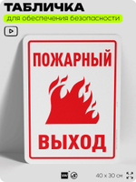 Табличка для обеспечения безопасности "Пожарный выход", для офиса, по охране труда для предприятия, организаций, 40х30 см, Silver Plane x Айдентика Технолоджи