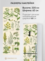 Наклейка интерьерная на холодильник Гербарий