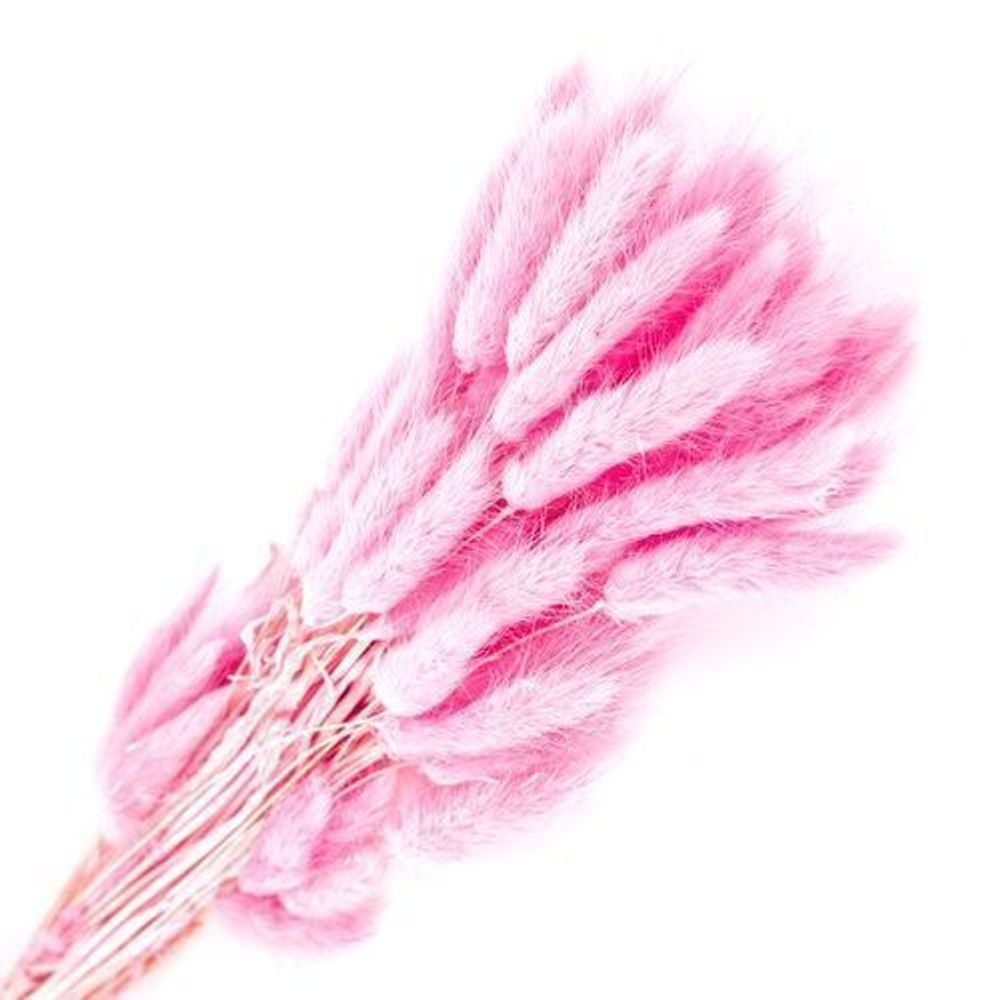 Сухоцветы ЛАГУРУС 65см 34гр РОЗОВЫЙ