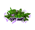 B3 - Soft Mint (250g)
