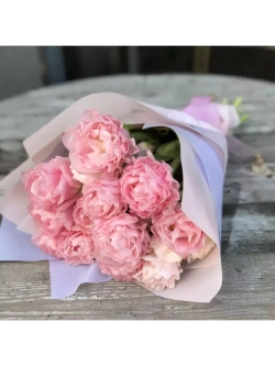 Тюльпаны пионовидные ,луковицы сорт MARIAGE (3 штукb)