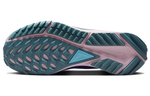 Кроссовки Nike Pegasus Trail 4 Gore-Tex (Женская размерная сетка)
