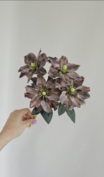 Клематис / Арт 2588