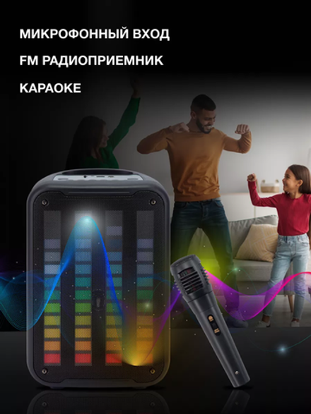 Минисистема Hyundai H-MC1204 черный