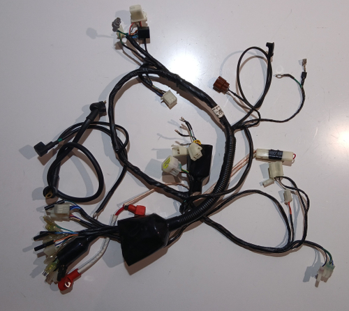 Проводка REGULMOTO  ADV 300