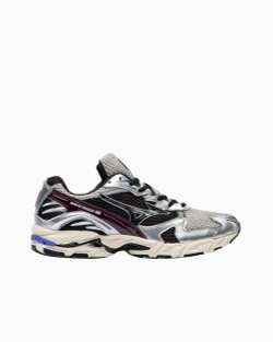 Кроссовки Mizuno Wave Rider 10