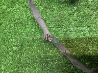 Проводка заднего бампера EXEED RX (2023-н.в.)