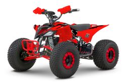 Квадроцикл YACOTA E-SPORT 3000W электро