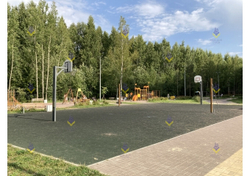 Баскетбольная башня профессиональная (комплект) с кольцом отв. 100х65 мм