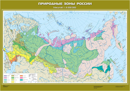 Природные зоны России