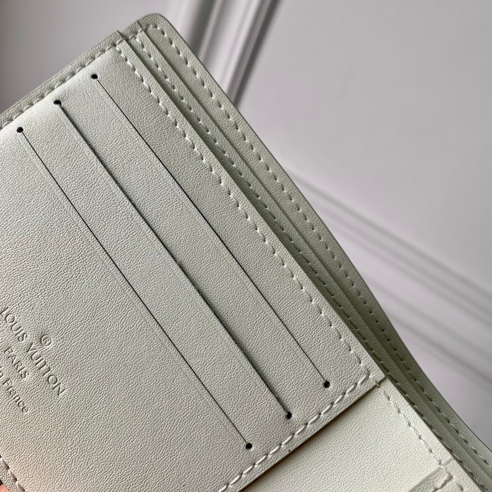 Louis Vuitton Multiple Wallet