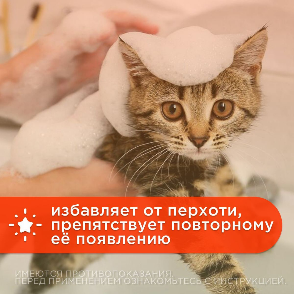 Цитодерм Neoterica, Шампунь от перхоти для кошек и собак, 200 мл. Хлоргексидин.