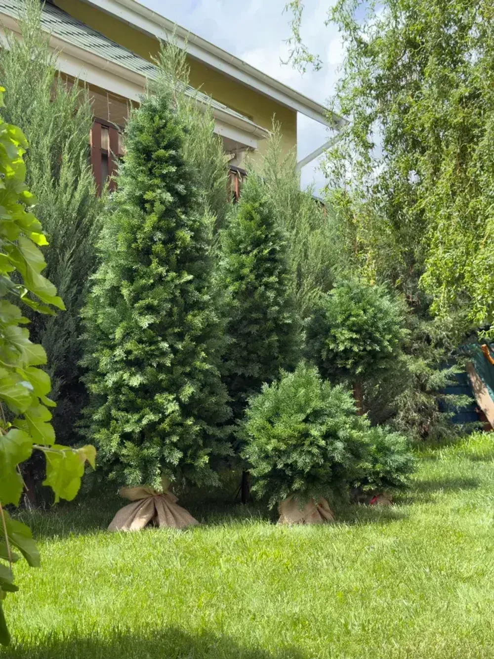 Искусственная Туя-Шар на ножке / туя Чупа Чупс (Литая хвоя) 80 см \ 115 см