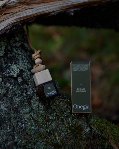 Автопарфюм автодиффузор