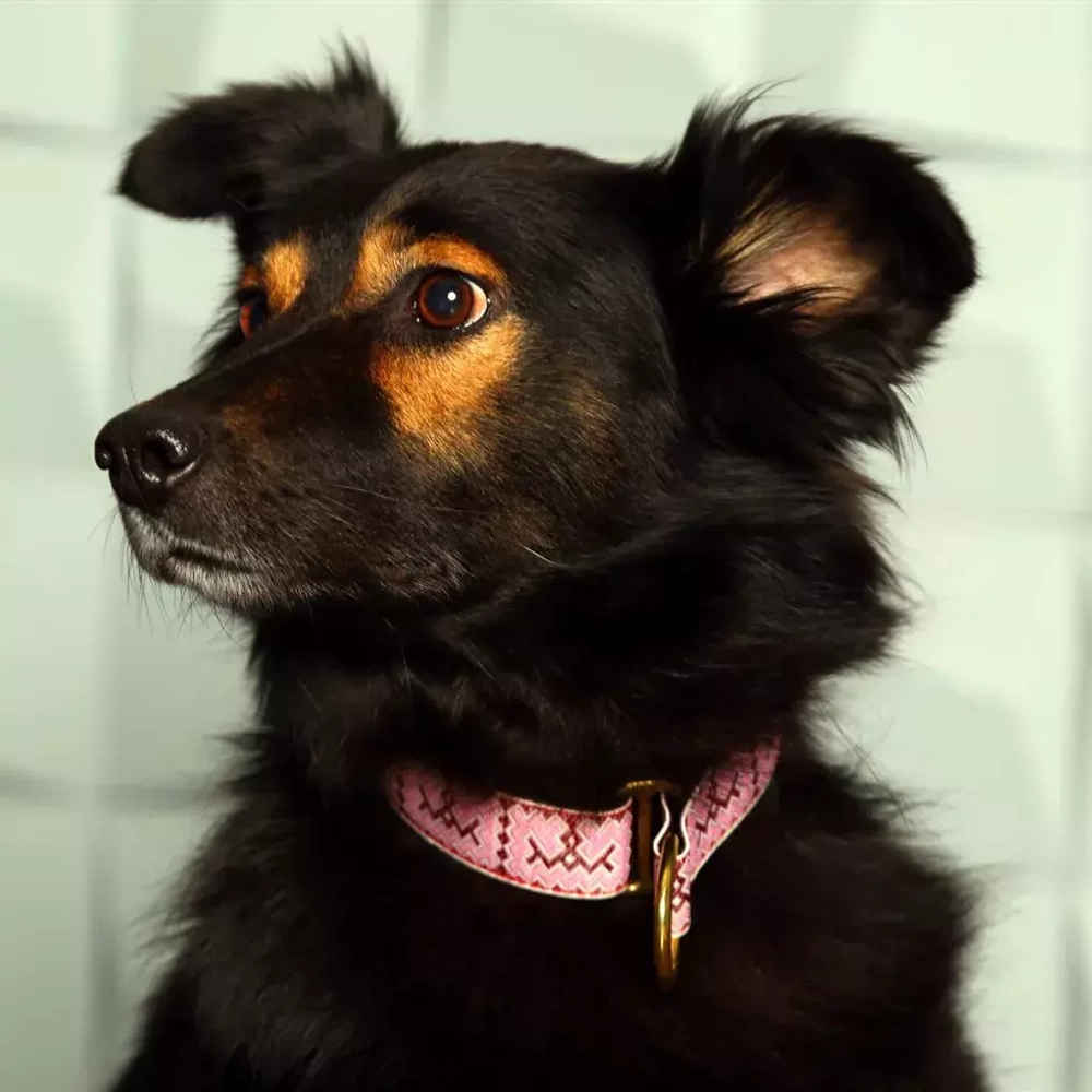 Полуудавка на фетре регулируемая "Оленьи Рожки" (32 мм)