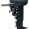 Лодочный мотор POWERTEC T 25 AMHS 25 л.с. двухтактный