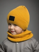 Шапка для мальчика со снудом демисезонная