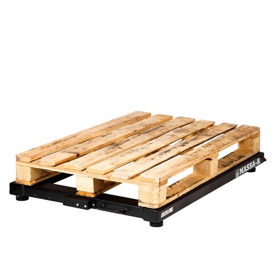 Весы паллетные МАССА-К 4D-U-1-1000-AB влагозащищенные