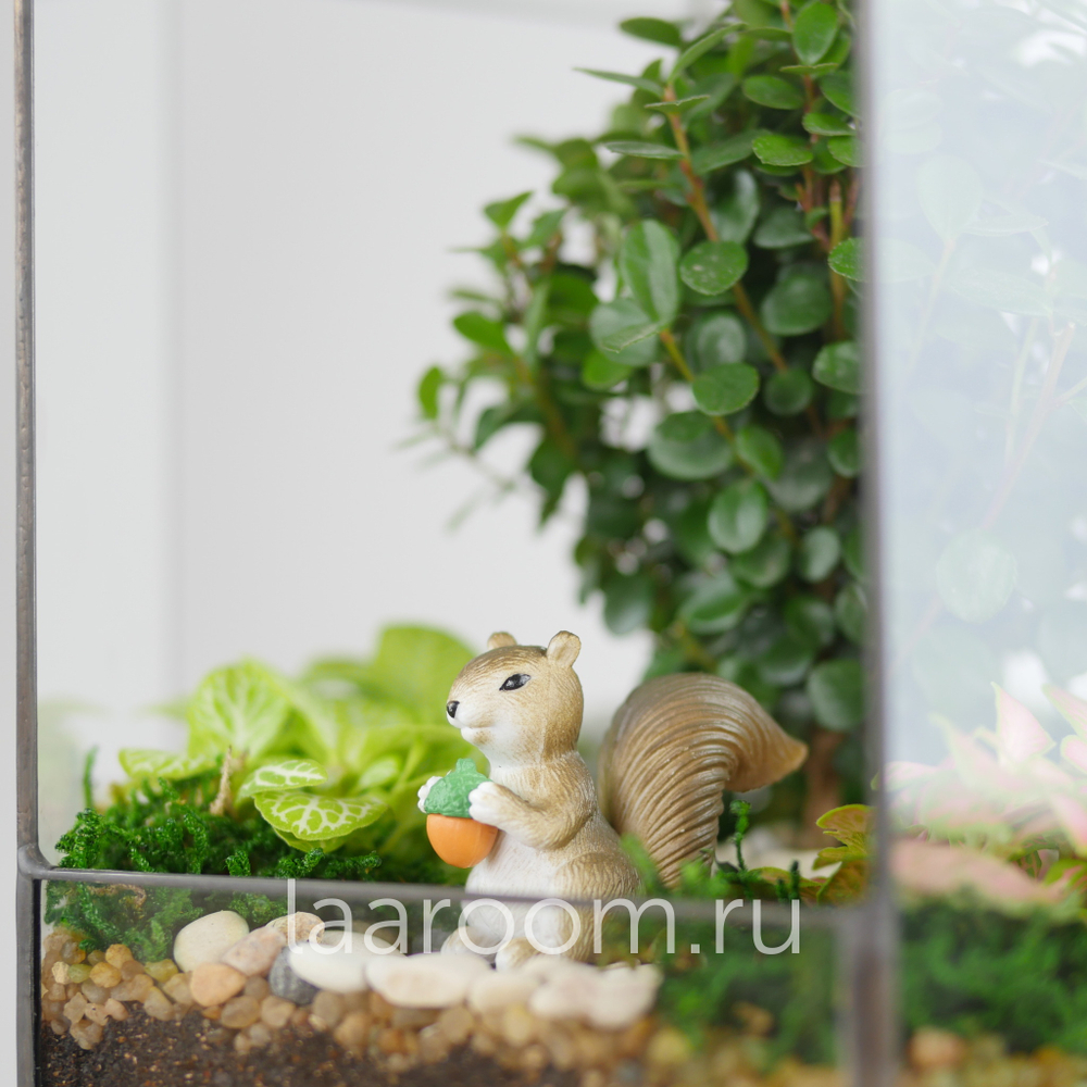 Белочка серая