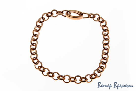 Бижутерия Fossil JF83954040