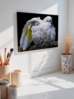 Картина на стену 40 X 50 Попугаи