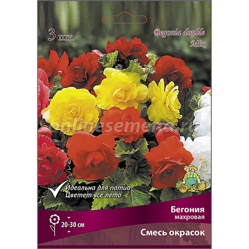 Бегония Махровая смесь (3 шт)