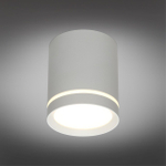 Накладной светодиодный светильник Omnilux Capurso OML-102429-05