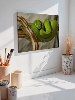 Картина на стену 40 X 50 Змея