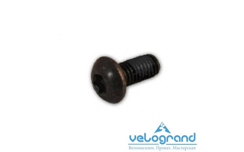 Болт для ротора Shimano для SM-RT75