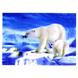 3D Картина Белый медведь