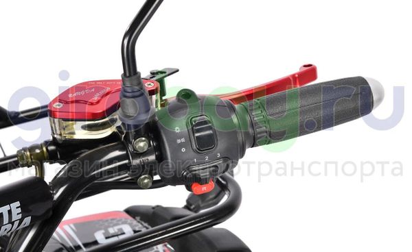 Электроквадроцикл WHITE SIBERIA SNEG PRO 3000W