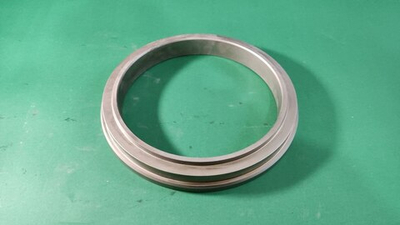 Шиберное кольцо Schwing 10166890 DN230