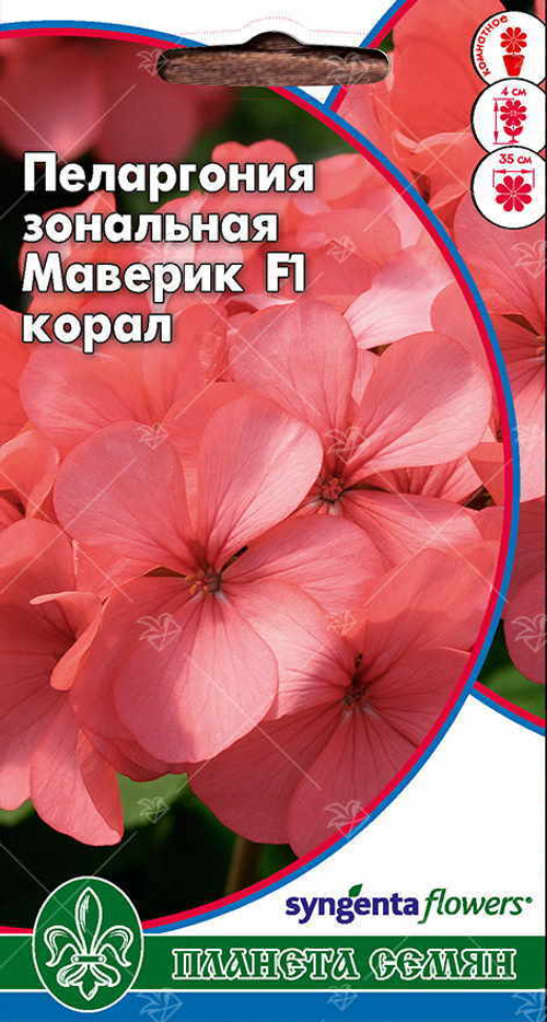 Пеларгония зональная Маверик корал F1