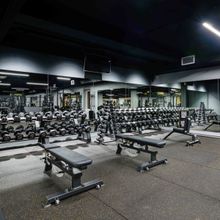 Гантельный ряд профессиональный (шаг 2,5 кг, 5 пар) PROFI-FIT 27,5-37,5 кг