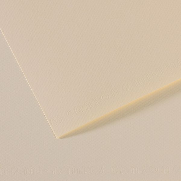 Бумага для пастели Mi-Teintes 160 г/м², 75х110 см, 10 л, №110 Лилия, Canson, C31032S156