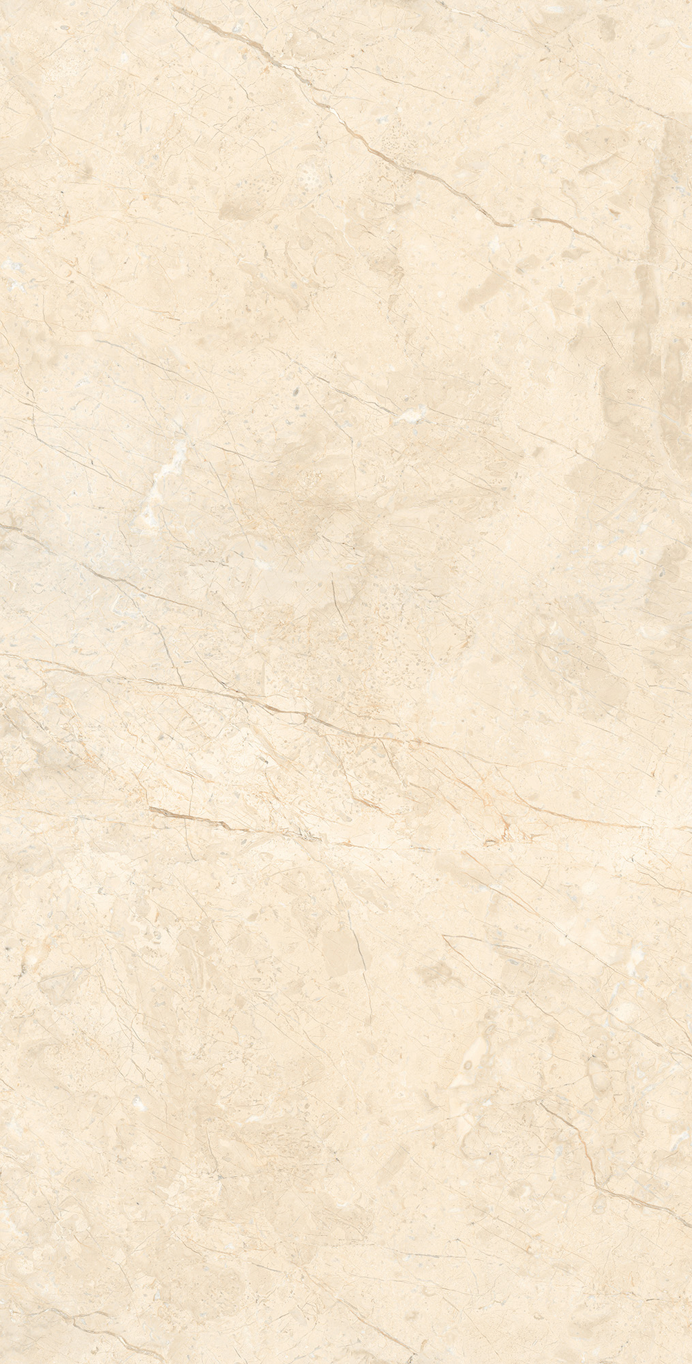 Керамогранит, Arcadia Ceramica, MARCUS CREMANO, 1200x600 мм, матовая