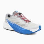 Кроссовки для бега Salomon Pulsar lunar rock/white/french blue