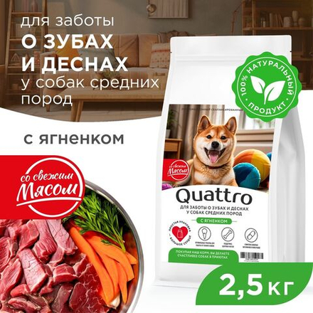 Корм сухой для взрослых собак средних пород, премиум полнорационный комплекс, для заботы зубов и десен, с ягненком, 2,5 кг, QUATTRO