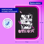 Пенал BRAUBERG с наполнением, 1 отделение, 1 откидная планка, 24 предмета, 21×14 см, «Anime movie», 272349