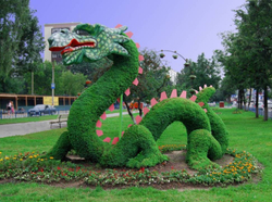 Топиарная фигура "Дракон-1"