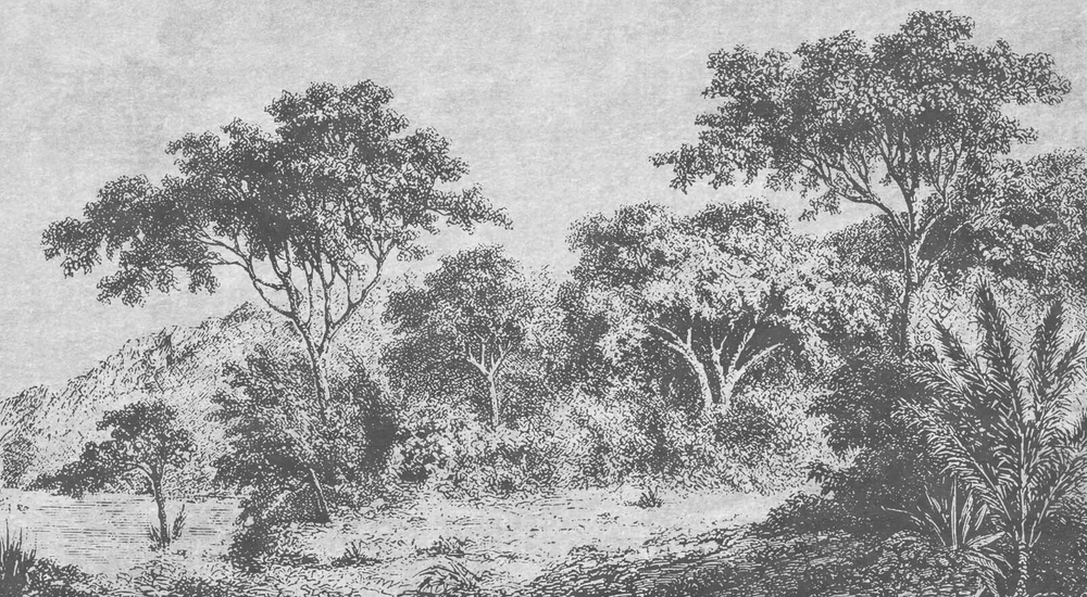 Дизайнерские обои Wall Street Estampe