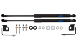 Упоры капота для EVOLUTE i-Space, 2024- ARBORI.HD.062102