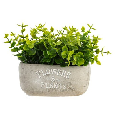 Цветочная композиция