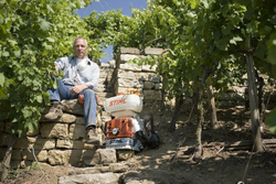 Бензиновый опрыскиватель STIHL SR 420, 14 л