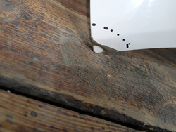 Капот Hyundai Staria (US4) 21-нв Б/У Оригинал 66400CG000