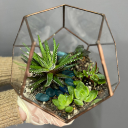 Флорариум «Додекаэдр»